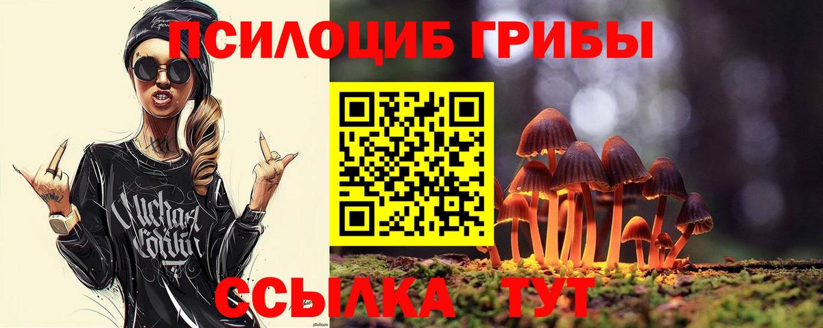Галлюциногенные грибы MAGIC MUSHROOMS Вышний Волочёк
