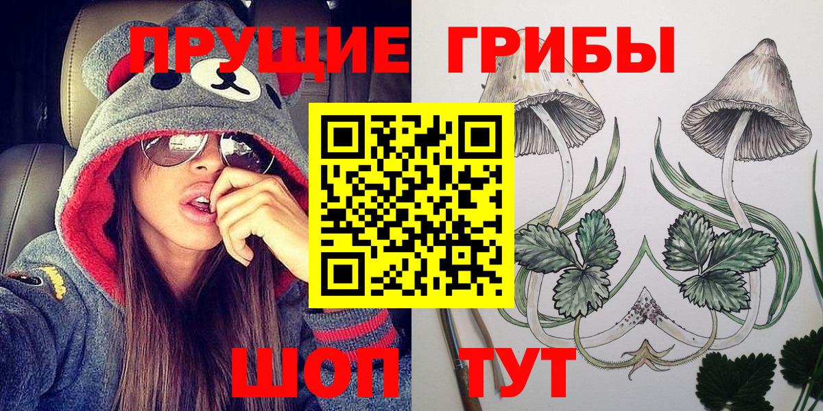 Вышний Волочёк  Галлюциногенные грибы Psilocybe  Вход с VPN 