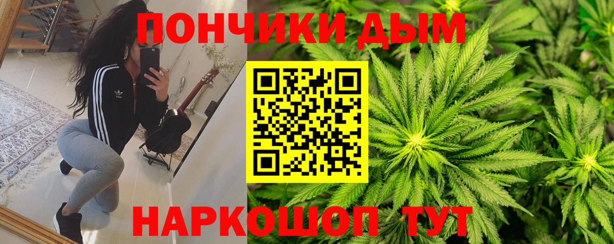 Каннабис план  Бошки марихуана AK-47  Вышний Волочёк  Канабис сатива  Вход с VPN  Бошки Шишки сатива 